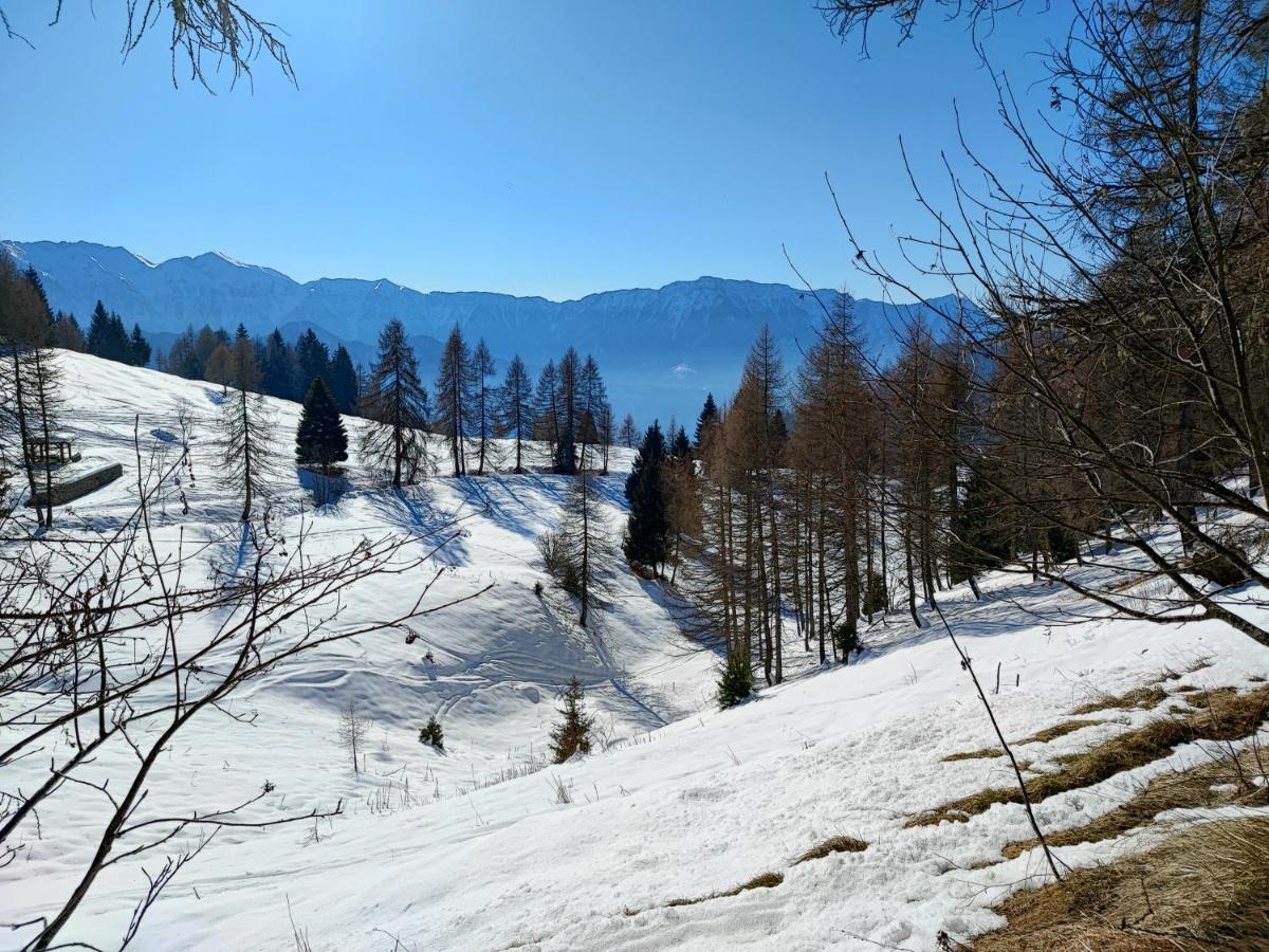 Il Riccio Del Castagno Διαμέρισμα Novaledo Εξωτερικό φωτογραφία