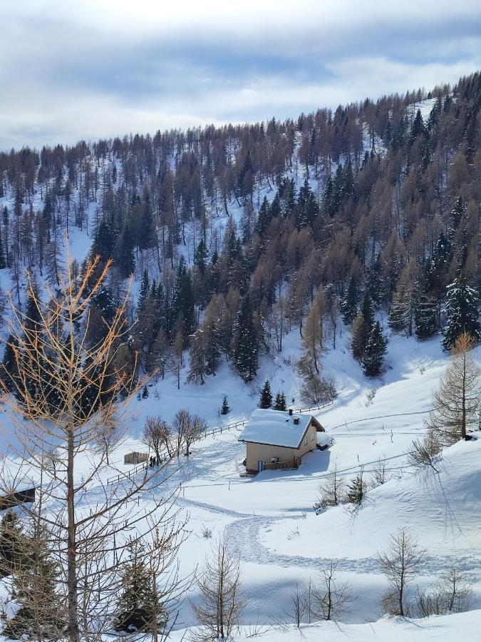 Il Riccio Del Castagno Διαμέρισμα Novaledo Εξωτερικό φωτογραφία