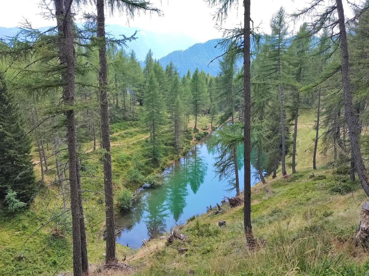 Il Riccio Del Castagno Διαμέρισμα Novaledo Εξωτερικό φωτογραφία
